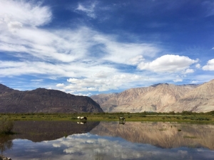 Reflection - Beautiful Scene in Nubra Valley